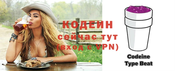 хмурый Абаза