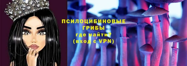 хмурый Абаза