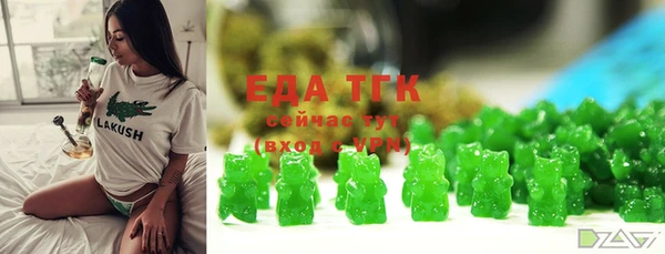 хмурый Абаза