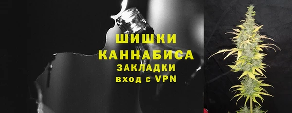 прущие грибы Дмитриев