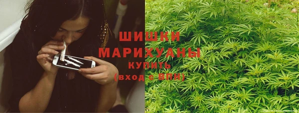 хмурый Абаза