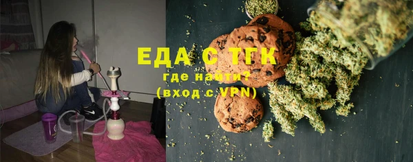 хмурый Абаза