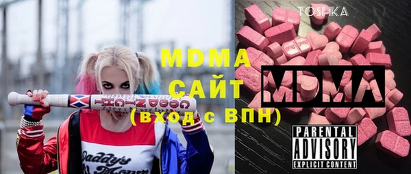 хмурый Абаза