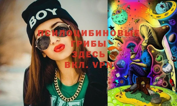 PSILOCYBIN Касимов