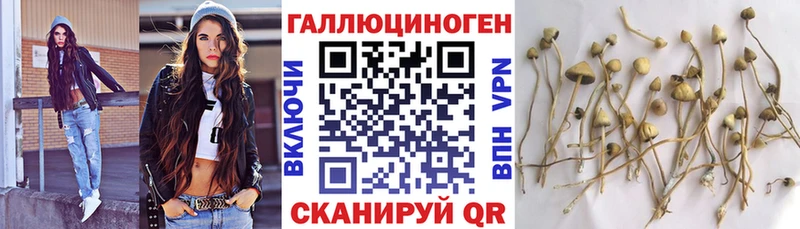 Галлюциногенные грибы мицелий  Таганрог 